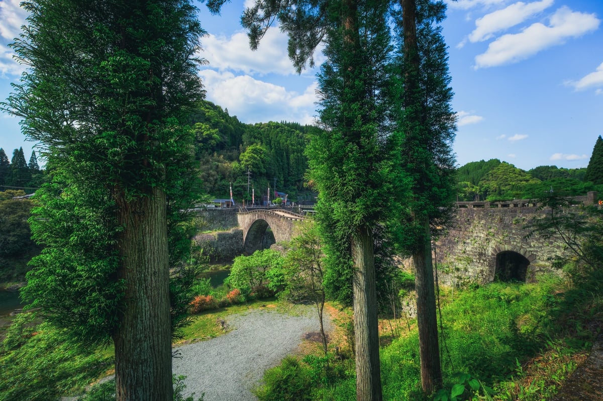 Ishibashi Through The Trees