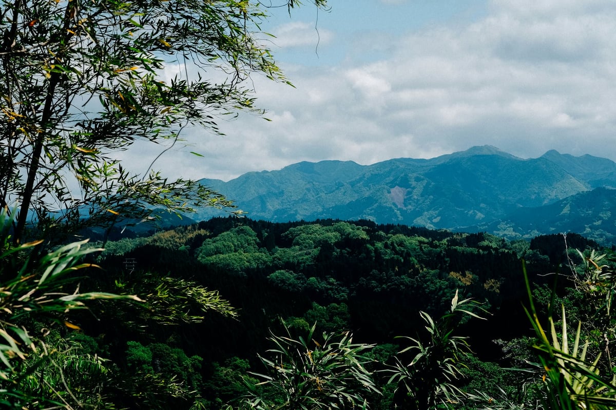 Shot with the Fuji XT1 and the Fujinon 56mm f1.4 Lens Japan Wilderness