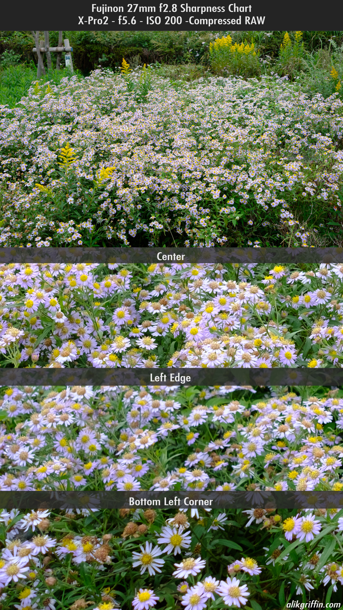 Fujinon 27mm Sharpness Chart