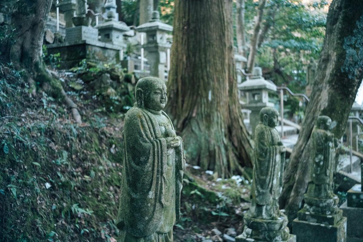 TTArtisan 27mm f2.8 Bokeh Sample