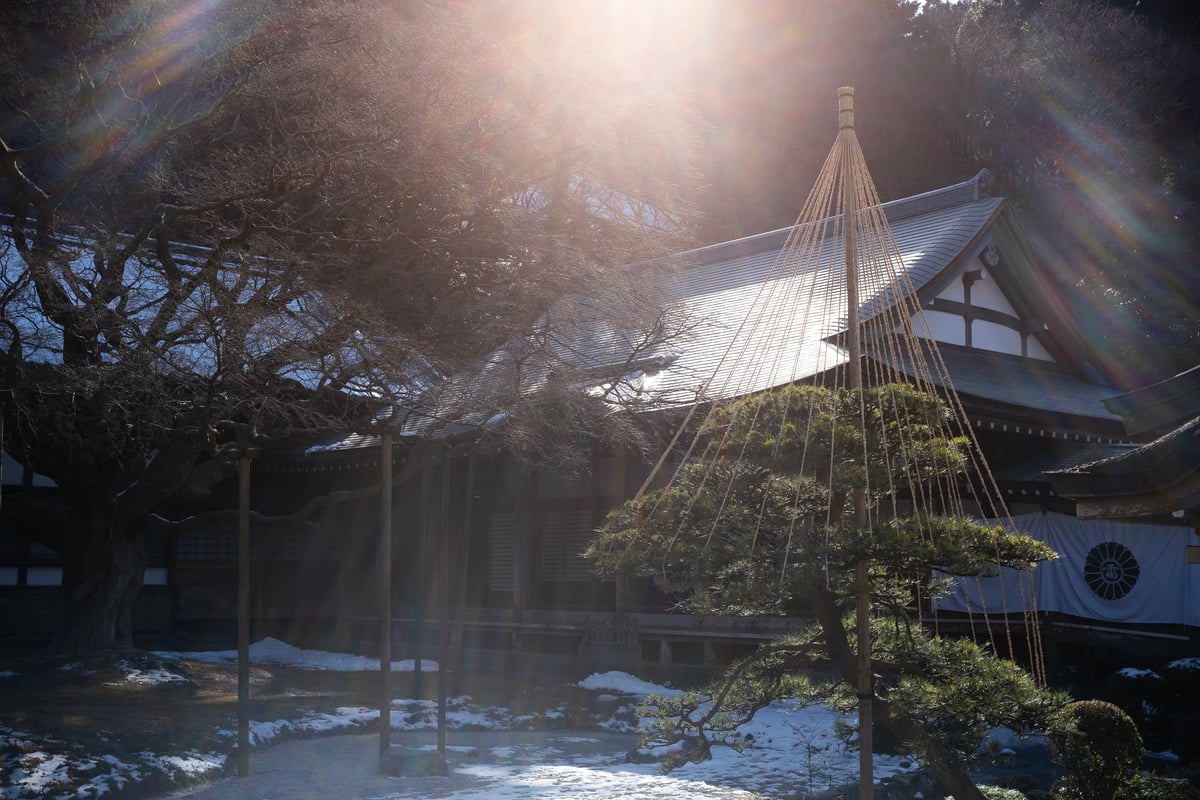 TTArtisan 27mm f2.8 Flare Samples