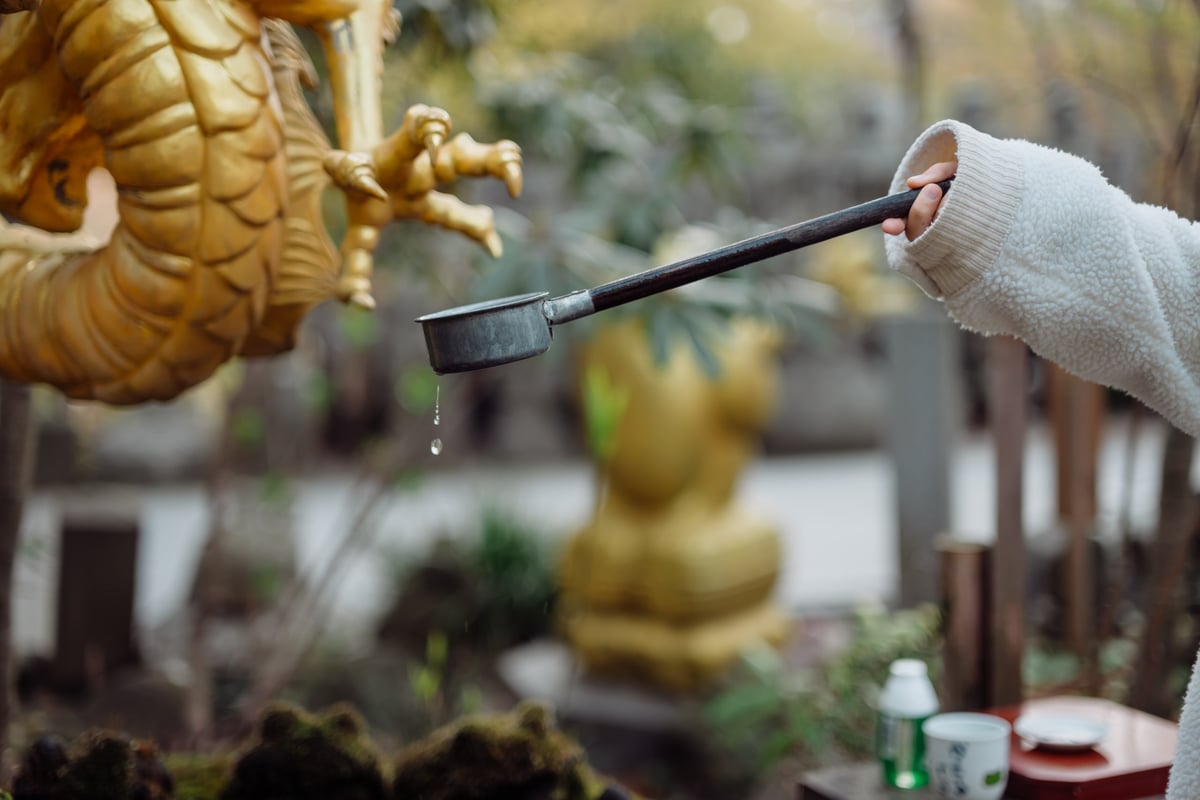 Nikon Z 50mm f1.4 Bokeh Sample