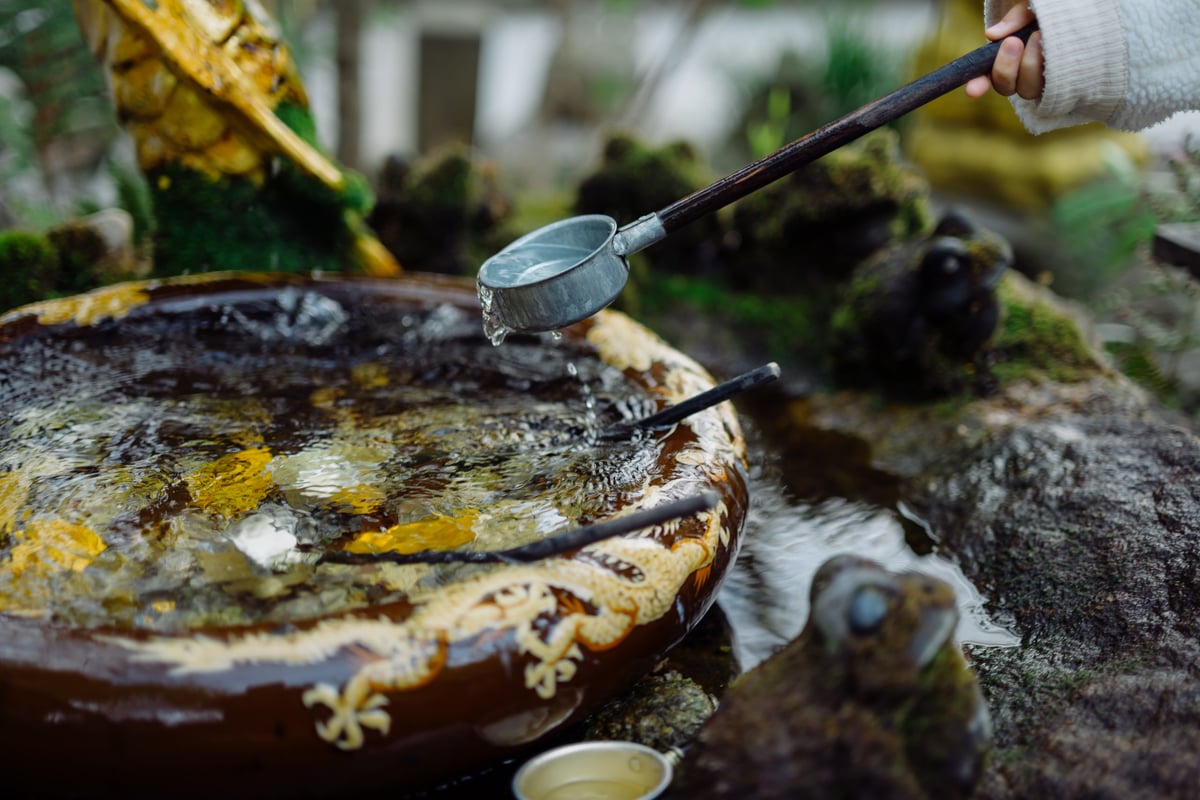 Nikon Z 50mm f1.4 Bokeh Sample