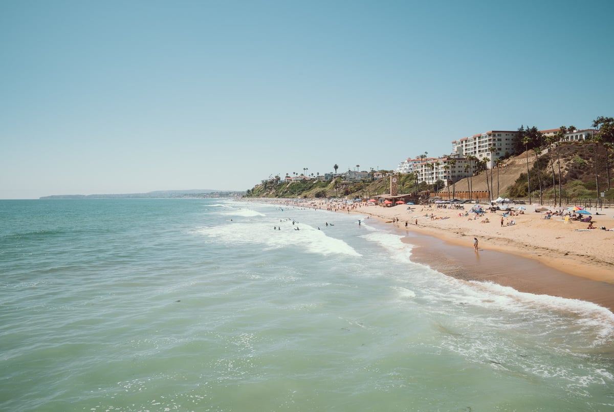 Kipon 24mm sample image