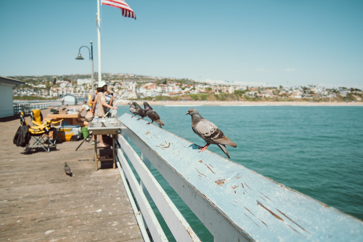 Kipon 24mm f2.4 Sample Image