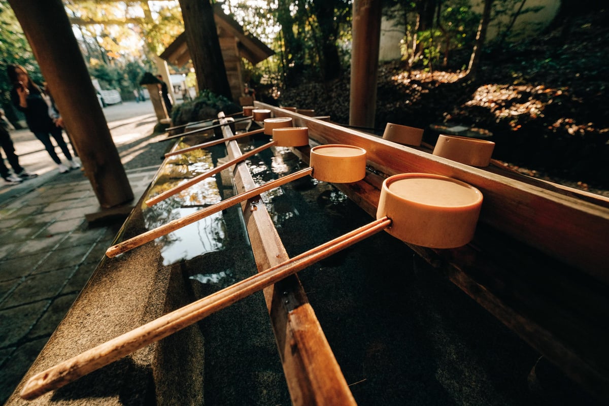 Viltrox 9mm Bokeh Sample