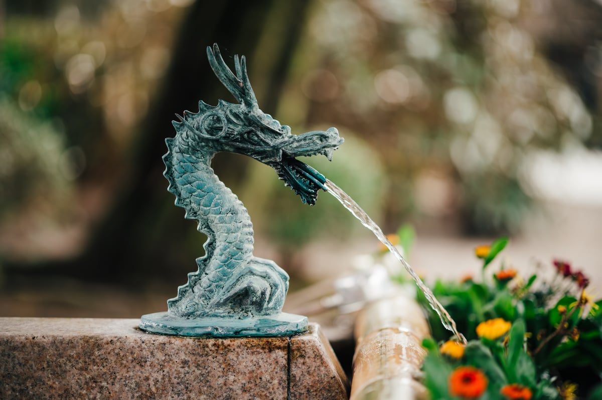 Dragon Bokeh