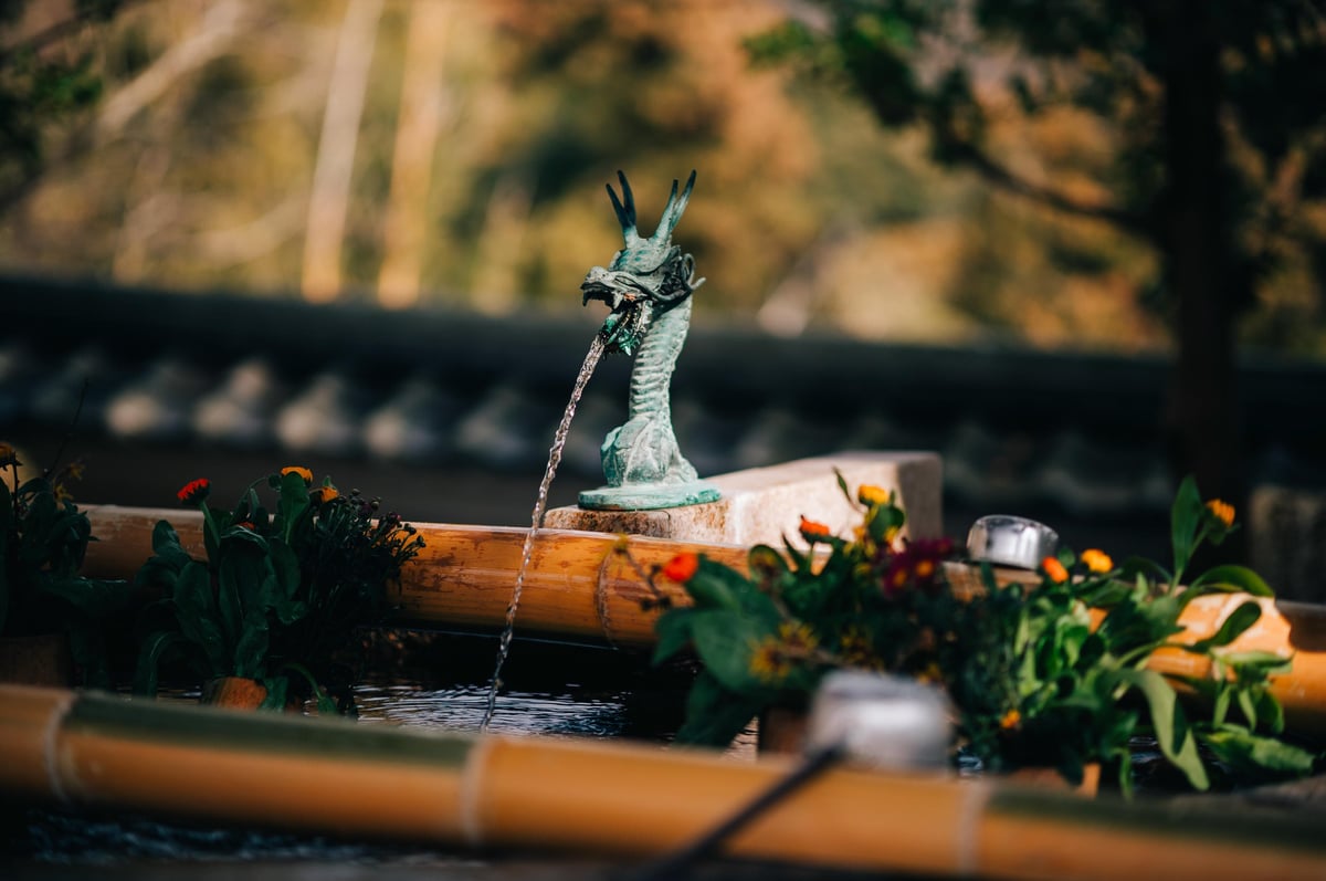 Dragon Water Bokeh Sample