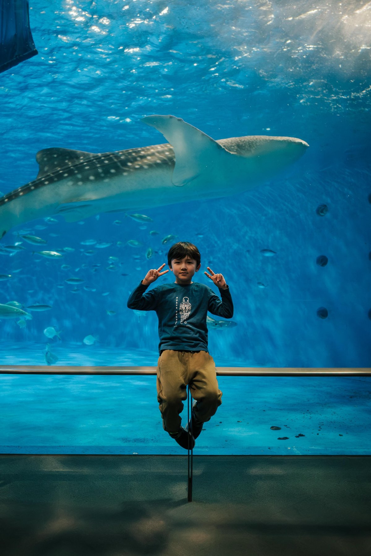 Kagoshima Aquarium with Whale Shark