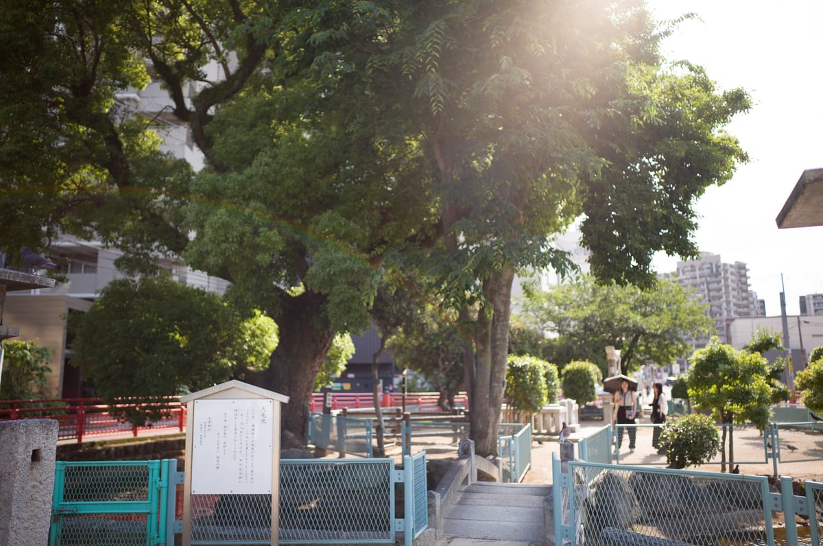 Thypoch 28mm f1.4 Flaring Sample