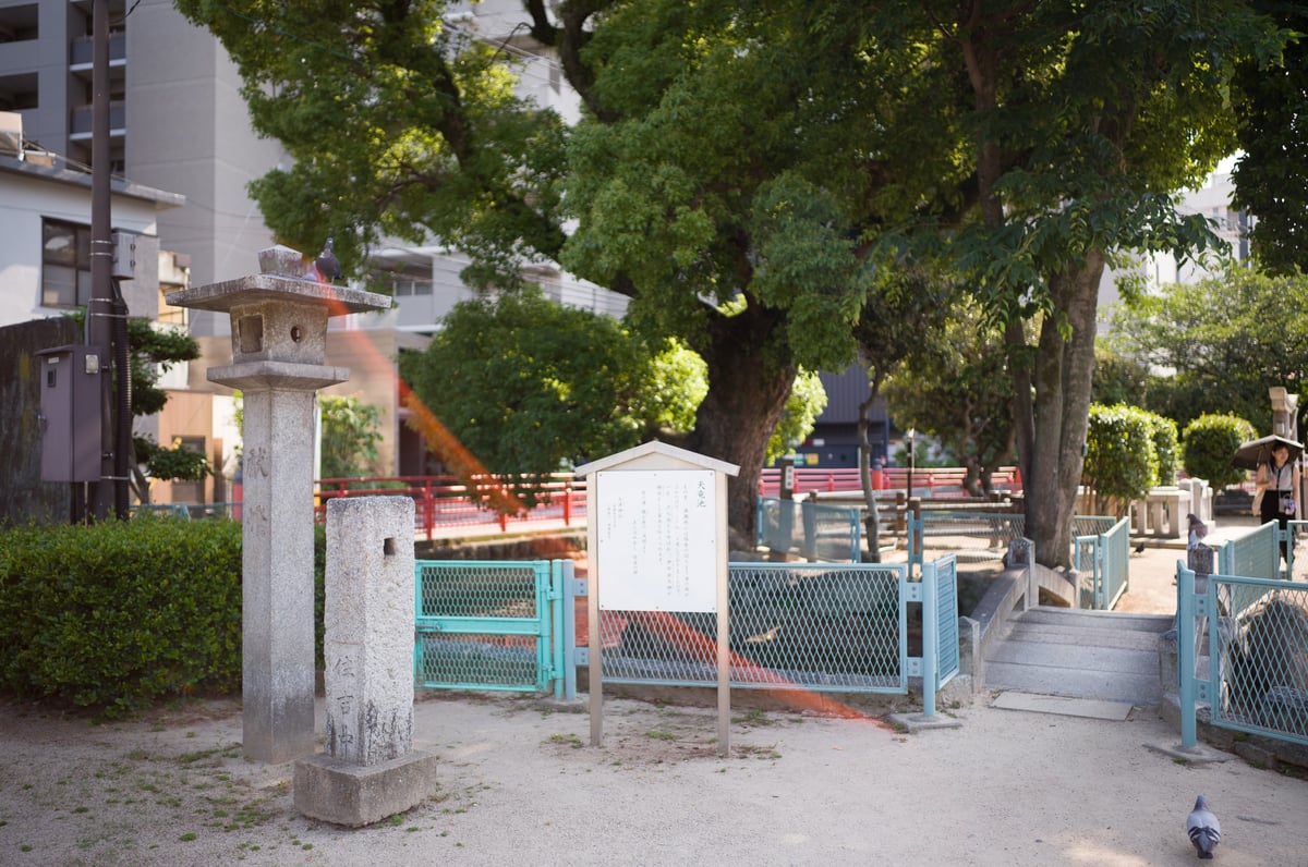 Thypoch 28mm f1.4 Flaring Sample