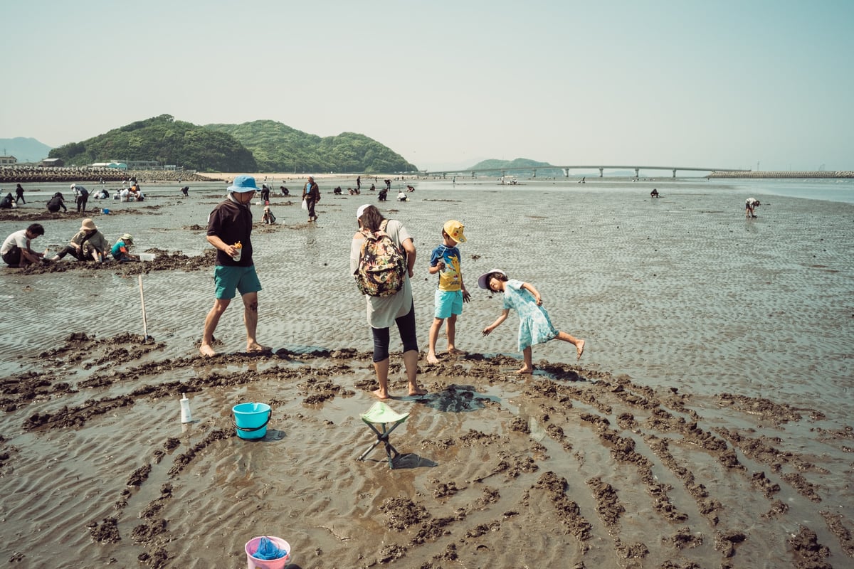 Clam hunting in north Kyushu